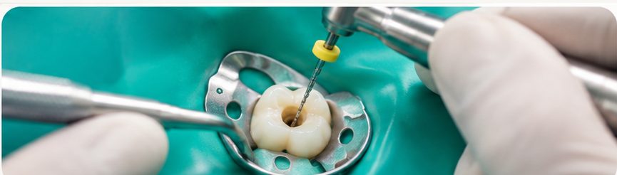 Ms dental